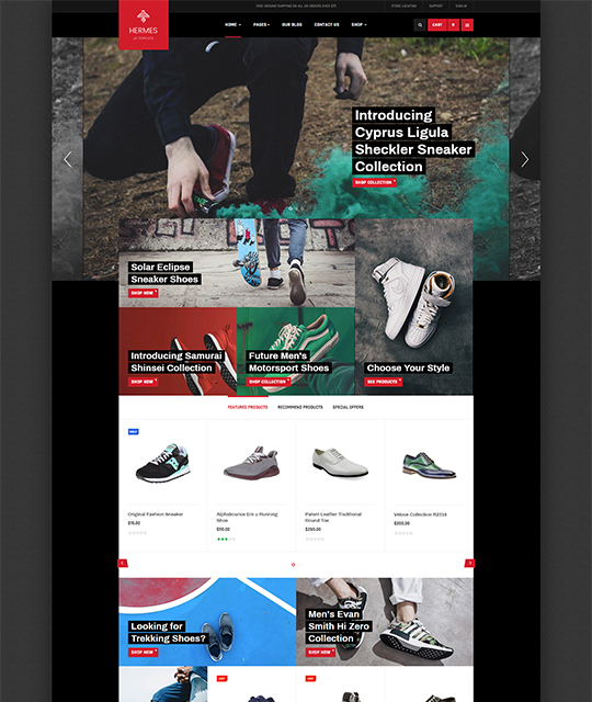 website kinh doanh giày 5