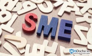 sme là gì sme là gì 02