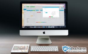 widget là gì