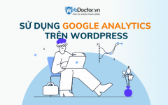 sử dụng google analytics wordpress
