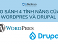 wordpress và drupal